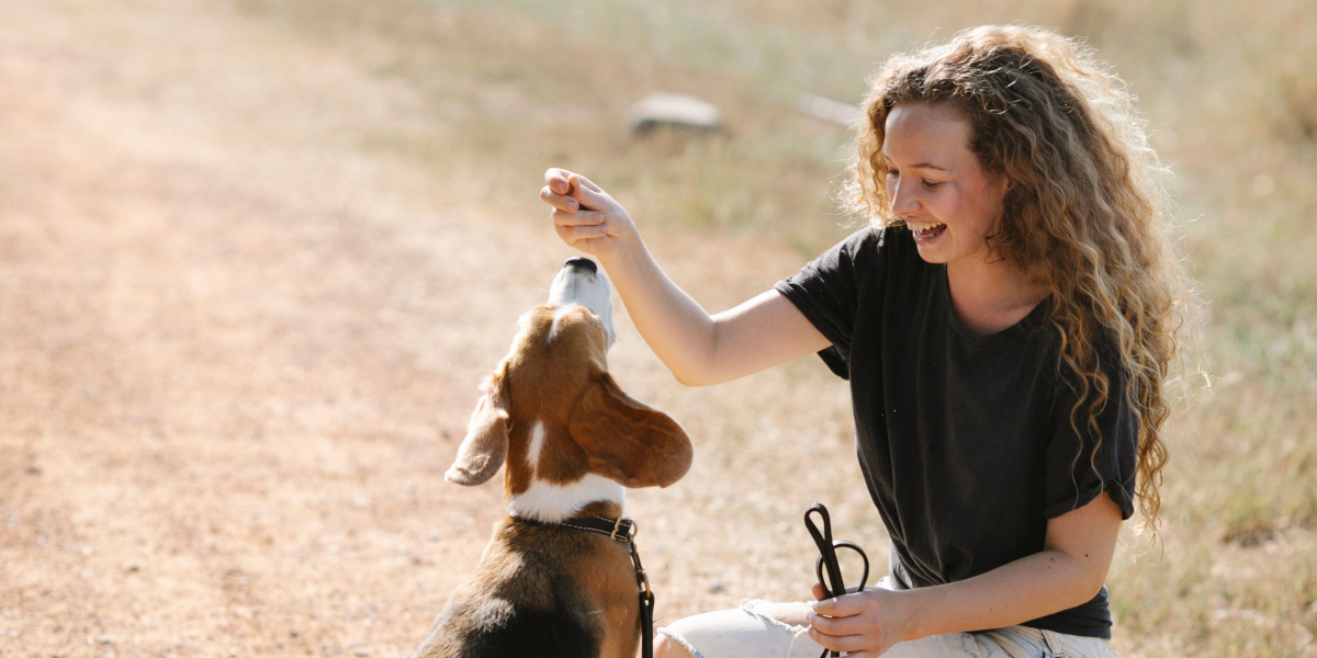 Ragazza che addestra un cane